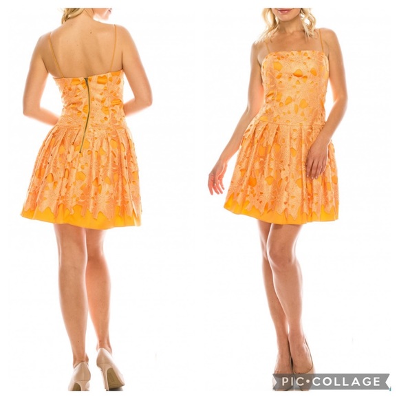 Adrianna Papell Dresses & Skirts - Adrianna Papell drop torso LACE party dress 🧡